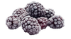 Cultivated Blackberry IQF