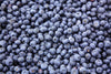 Cultivated Blueberry IQF