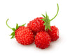 Wild Strawberry IQF